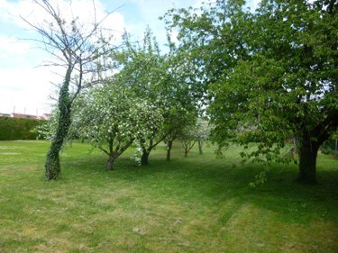 Terrain a batir a vendre Saint-Père 58200 Nièvre 1859 m2  21200 euros