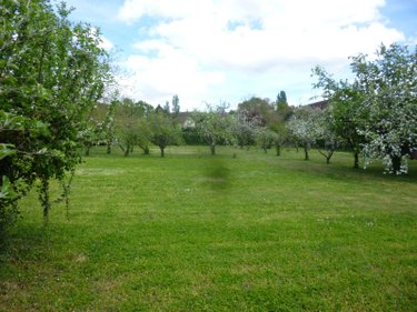Terrain a batir a vendre Saint-Père 58200 Nièvre 1859 m2  21200 euros