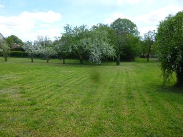 Terrain a batir a vendre Saint-Père 58200 Nièvre 1859 m2  21200 euros
