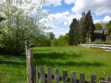 Terrains de loisirs bois etangs a vendre Tracy-sur-Loire 58150 Nièvre 1600 m2  12200 euros