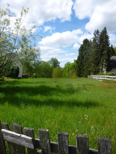 Terrains de loisirs bois etangs a vendre Tracy-sur-Loire 58150 Nièvre 1600 m2  12200 euros