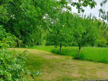 propriete a vendre Charny-Orée-de-Puisaye 89120 Yonne 300 m2 9 pièces 850000 euros
