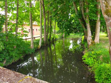 propriete a vendre Charny-Orée-de-Puisaye 89120 Yonne 300 m2 9 pièces 850000 euros