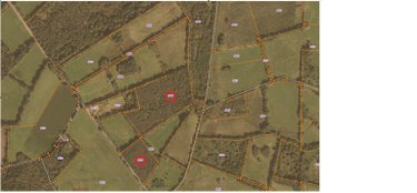 Terrains de loisirs bois etangs a vendre Langonnet 56630 Morbihan 82860 m2  37100 euros