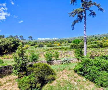 propriete viticole a vendre 83 Var 775 m2  10045000 euros