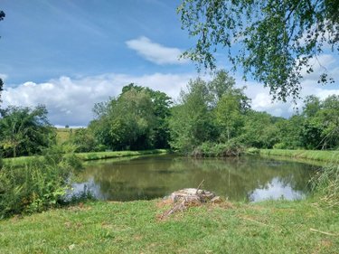 Terrains de loisirs bois etangs a vendre Le Genest-Saint-Isle 53940 Mayenne 8517 m2  83360 euros