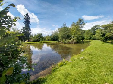 Terrains de loisirs bois etangs a vendre Le Genest-Saint-Isle 53940 Mayenne 8517 m2  83360 euros