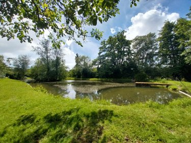 Terrains de loisirs bois etangs a vendre Le Genest-Saint-Isle 53940 Mayenne 8517 m2  83360 euros