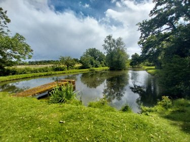 Terrains de loisirs bois etangs a vendre Le Genest-Saint-Isle 53940 Mayenne 8517 m2  83360 euros