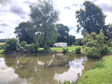 Terrains de loisirs bois etangs a vendre Le Genest-Saint-Isle 53940 Mayenne 8517 m2  83360 euros