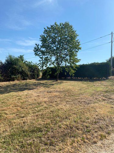 Maison a vendre Poisson 71600 Saône-et-Loire 70 m2 3 pièces 90000 euros