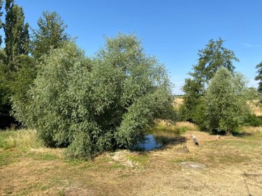 Maison a vendre Poisson 71600 Saône-et-Loire 70 m2 3 pièces 90000 euros