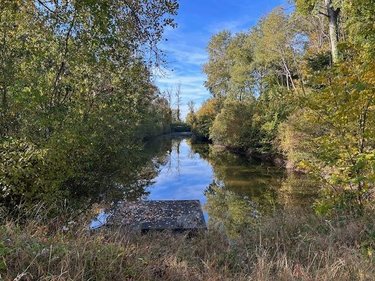Terrains de loisirs bois etangs a vendre Clérey 10390 Aube 6090 m2  63600 euros