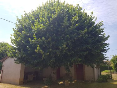 Maison a vendre Saint-Christophe-en-Bazelle 36210 Indre 102 m2 4 pièces 90950 euros