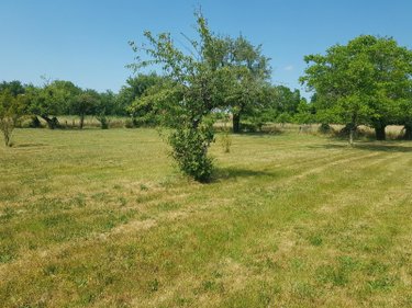 Maison a vendre Saint-Christophe-en-Bazelle 36210 Indre 102 m2 4 pièces 90950 euros