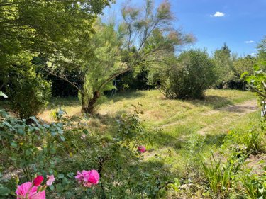 Maison a vendre Cluny 71250 Saône-et-Loire 125 m2 5 pièces 235000 euros
