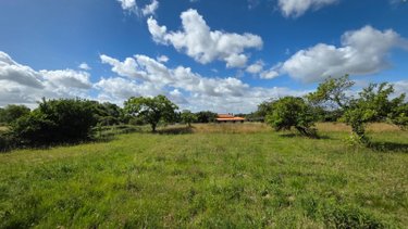 Maison a vendre Ligné 44850 Loire-Atlantique 90 m2 4 pièces 204930 euros