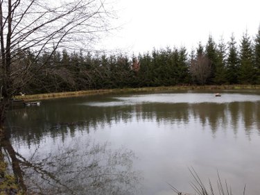 Terrains de loisirs bois etangs a vendre Le Baizil 51270 Marne 18750 m2  45000 euros