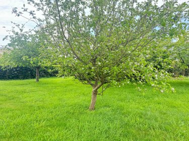 Maison a vendre Brest 29200 Finistère 170 m2 8 pièces 421000 euros