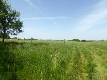 Maison a vendre Thermes-Magnoac 65230 Hautes-Pyrénées 260 m2 8 pièces 254400 euros