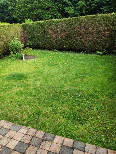 Location maison Honfleur 14600 Calvados 94 m2 4 pièces 1200 euros