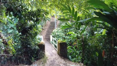 Maison a vendre Saint-Benoît 97470 Réunion 60 m2 3 pièces 108000 euros
