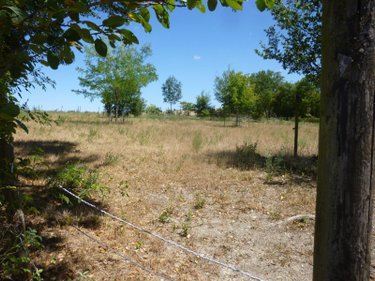 Terrain a batir a vendre Saint Loup des Bois 58200 Nièvre 4247 m2  58300 euros