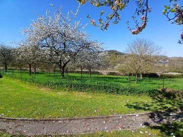 Maison a vendre La Rivière-Saint-Sauveur 14600 Calvados 59 m2 2 pièces 134680 euros