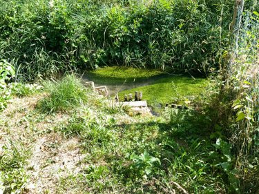 Maison a vendre Mer 41500 Loir-et-Cher 68 m2 4 pièces 116500 euros
