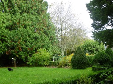 Maison a vendre Aigurande 36140 Indre 226 m2 17 pièces 161000 euros