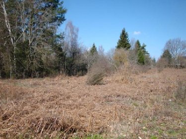 Terrain a batir a vendre Mauriac 15200 Cantal  37100 euros