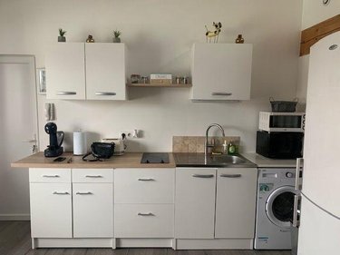 Location appartement Saint-Laurent-sur-Saône 01750 Ain 58 m2 3 pièces 650 euros