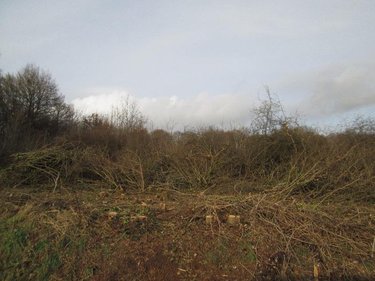 Terrain a batir a vendre Mennetou-sur-Cher 41320 Loir-et-Cher 12054 m2  63780 euros