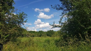Terrain a batir a vendre Mennetou-sur-Cher 41320 Loir-et-Cher 12054 m2  63780 euros