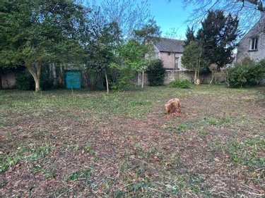 Maison a vendre Avaray 41500 Loir-et-Cher 115 m2 5 pièces 141500 euros