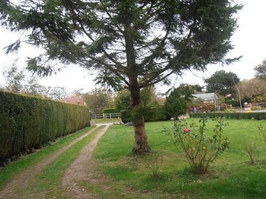 Location maison Criquebeuf-en-Caux 76111 Seine-Maritime 73 m2 4 pièces 700 euros