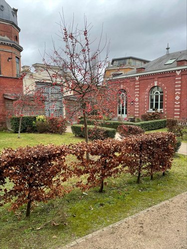 Appartement a vendre Tourcoing 59200 Nord 69 m2 3 pièces 250000 euros