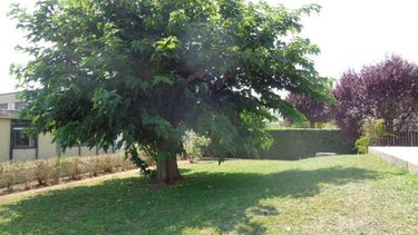 Location maison Mer 41500 Loir-et-Cher 96 m2 4 pièces 805 euros