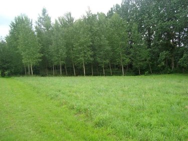 Terrain a batir a vendre Saint-Jean-d'Assé 72380 Sarthe 3925 m2  50760 euros