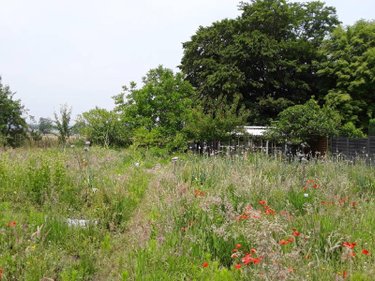 Terrain a batir a vendre Cuts 60400 Oise 743 m2  44000 euros