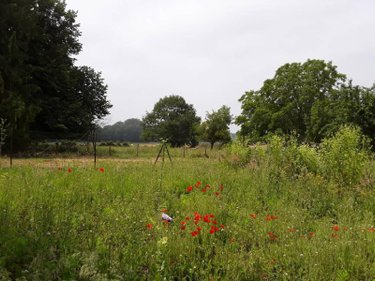 Terrain a batir a vendre Cuts 60400 Oise 743 m2  44000 euros