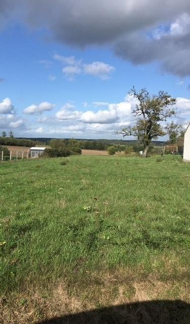 Terrain a batir a vendre Le Grand-Lucé 72150 Sarthe 2400 m2  32000 euros