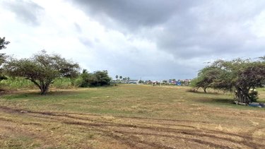 Terrains de loisirs bois etangs a vendre Le Moule 97160 Guadeloupe 16916 m2  349000 euros