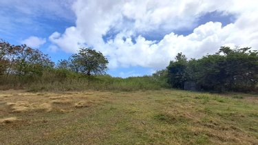 Terrains de loisirs bois etangs a vendre Le Moule 97160 Guadeloupe 16916 m2  349000 euros