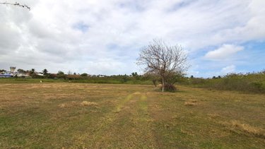 Terrains de loisirs bois etangs a vendre Le Moule 97160 Guadeloupe 16916 m2  349000 euros