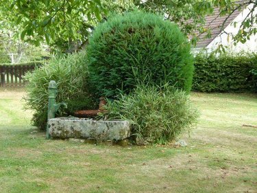 Maison a vendre Méasnes 23360 Creuse 147 m2 5 pièces 134000 euros