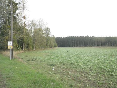 Terrain a batir a vendre Fismes 51170 Marne 5476 m2  197000 euros