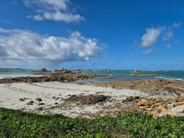 Terrains de loisirs bois etangs a vendre Santec 29250 Finistère 1176 m2  26500 euros