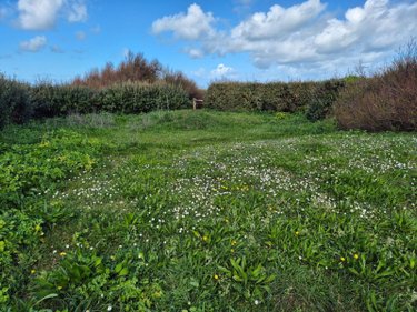 Terrains de loisirs bois etangs a vendre Santec 29250 Finistère 1176 m2  26500 euros