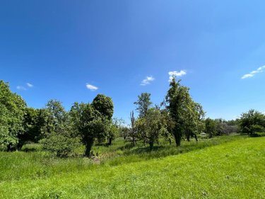 Terrain a batir a vendre Bourguignons 10110 Aube 2205 m2  48150 euros